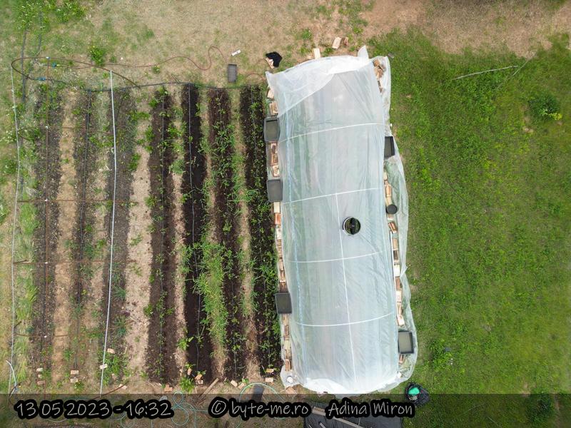 Straturi cu mranita in Gradina Extensiva 1